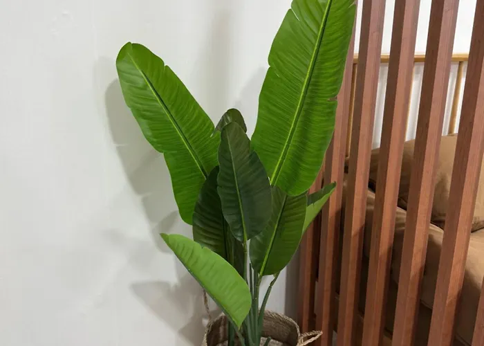Apartamento Manrijae *